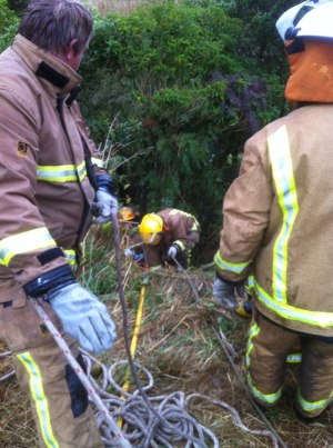 Awakino Crash Scene